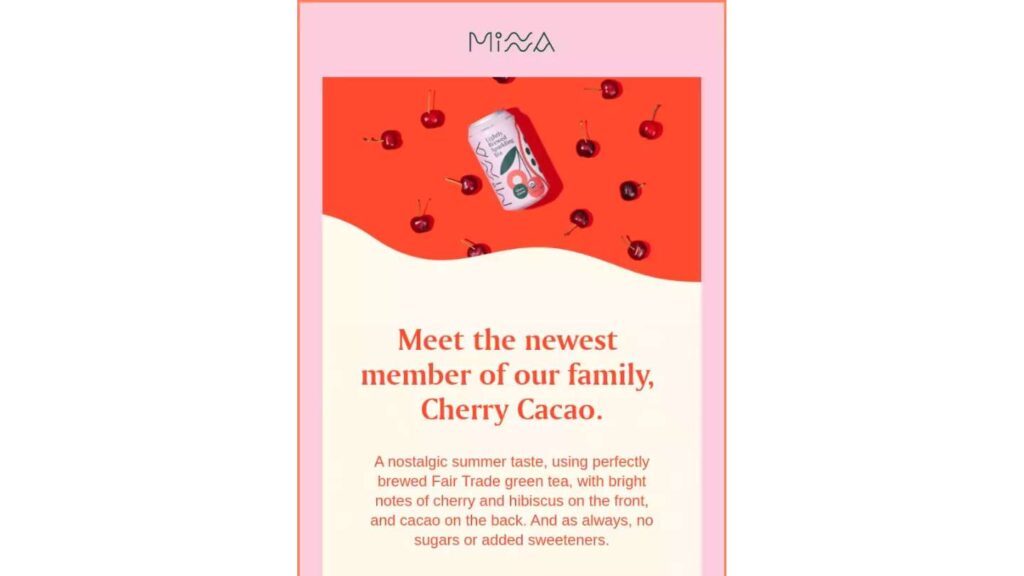 21 Types of Email Marketing Every Marketer Must Know 16