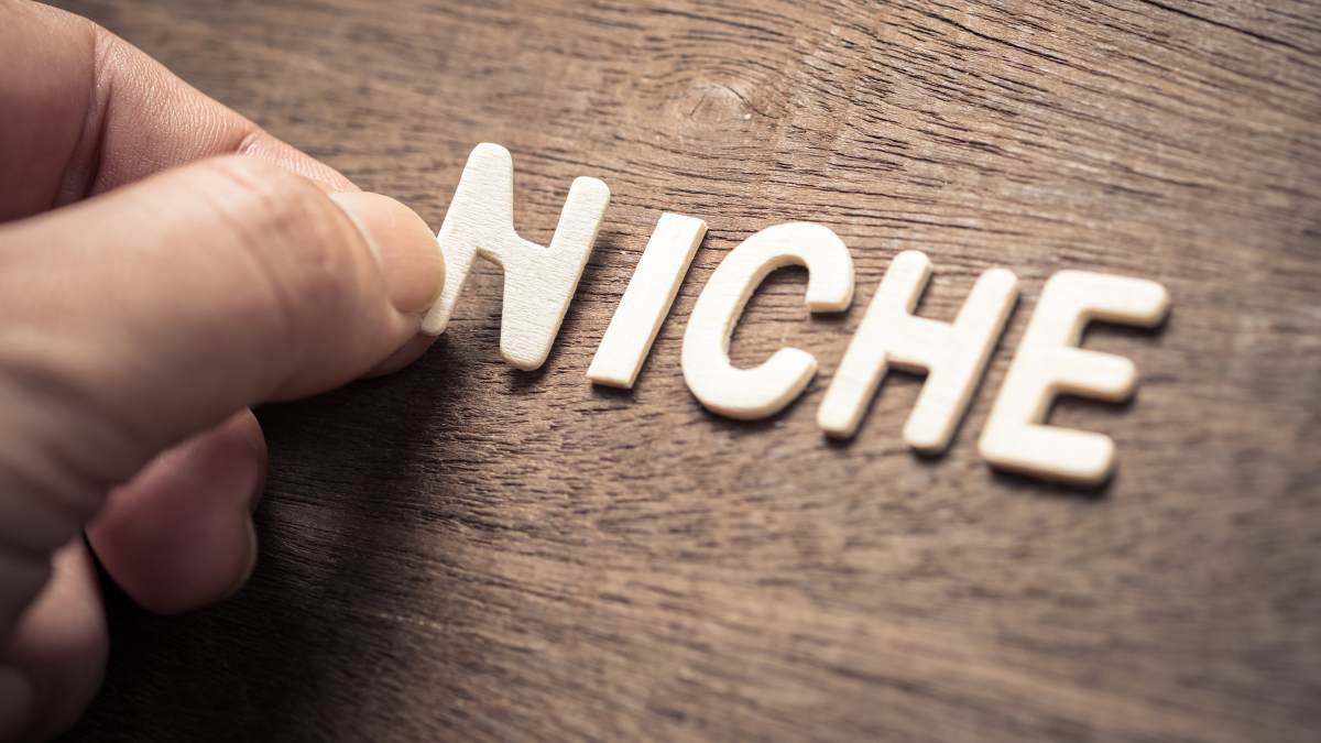 Niche Marketing Strategy
