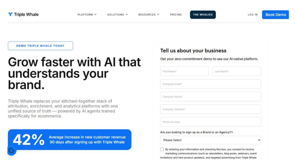 12 Best AI Attribution Tools for Smarter Marketing ROI 3 Triple Whale