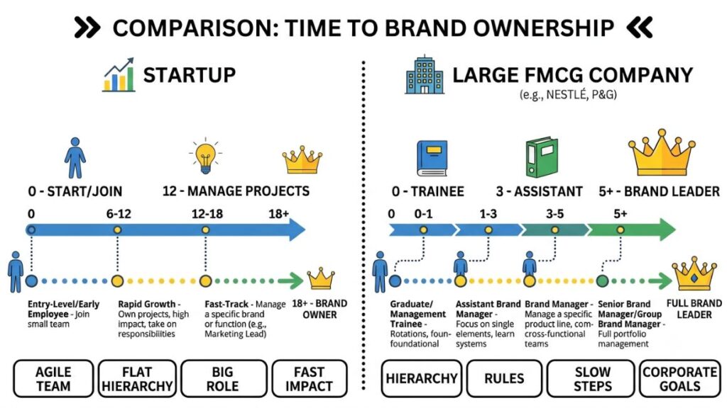 What Entry-Level Jobs Can Lead To Brand Management? 2 Comparison graphic showing typical time-to-brand-ownership at a startup vs. a large FMCG company