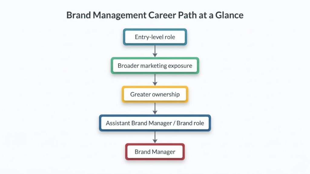 What Entry-Level Jobs Can Lead To Brand Management? 4 Entry-Level Jobs for brand management